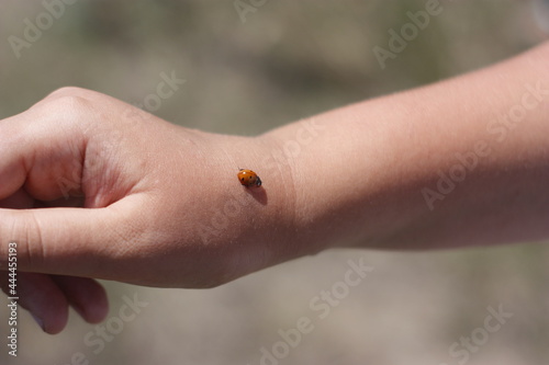 hand of the child © Anna Chemerenko