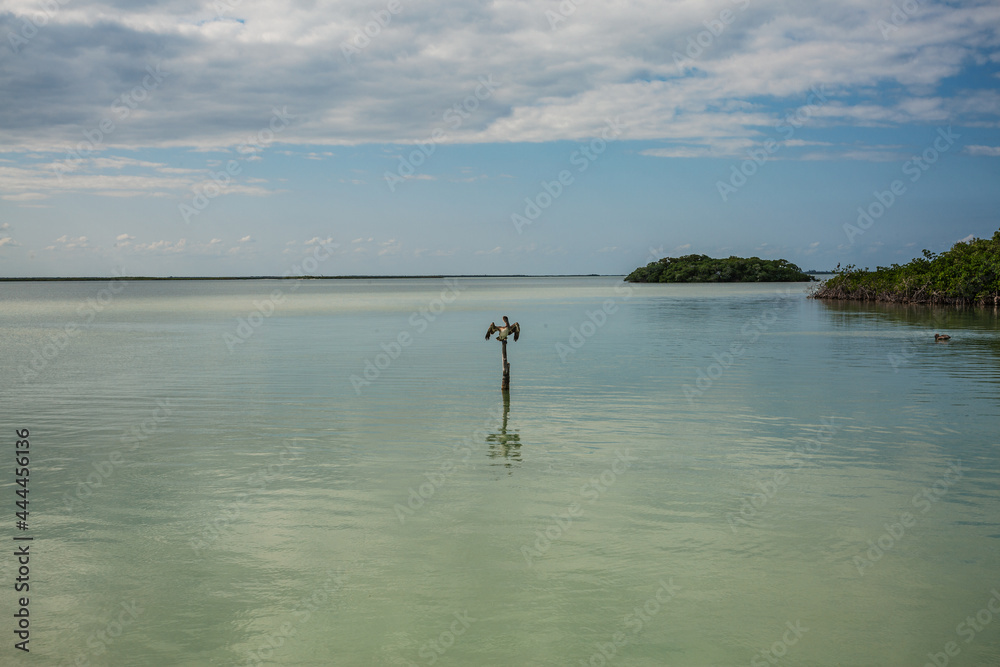 Laguna de Sian ka'an Laguna de Sian ka'an