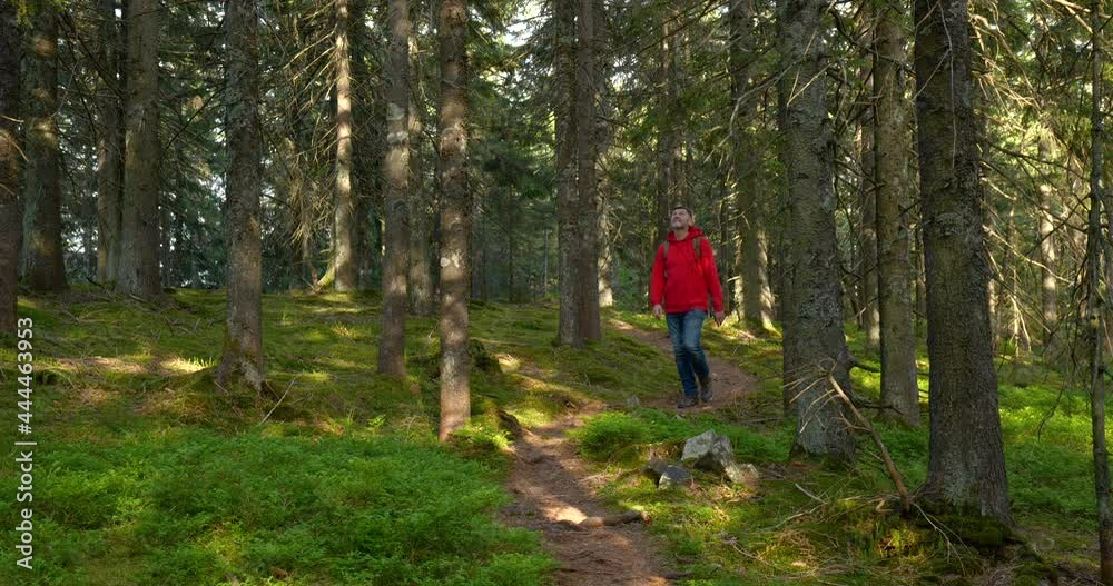 Tourist guy with backpack hiking on an adventure trip in natural landscape Tourist guy with backpack hiking on an adventure trip in natural landscape