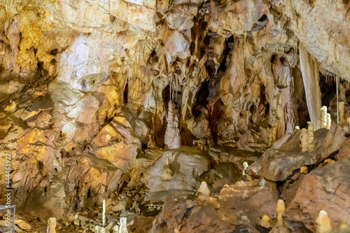 Bear's Cave, Ursus spelaeus, Pestera Ursilor, Chiscau village, Bihor County, Apuseni Mountains, Romania