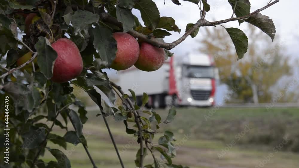 Manzanas en primer plano con camión pasando. Cambio de foco