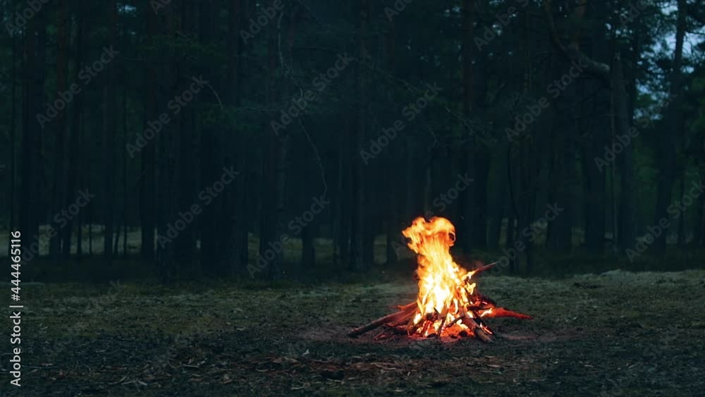 A Bonfire Burning in the Forest in Evening. Flaming Campfire. Fireplace in Nature - Static Shot, Slow Motion