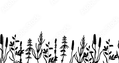  Black silhouette of grasses. Vector illustration of a medical plant. Seamless ribbon. © Oksava