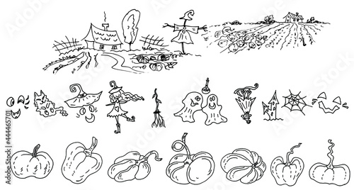 Wallpaper Mural Pumpkins, ghosts, witch, cat, web. Decorative items for Halloween. Linear drawing. Sketch. Vector illustration. Torontodigital.ca