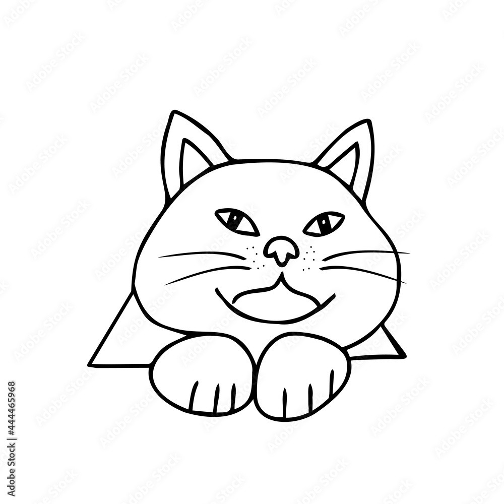 Obraz premium Hand drawn black vector illustration a portrait of a beautiful fat adult young cat with big eyes isolated on a white background