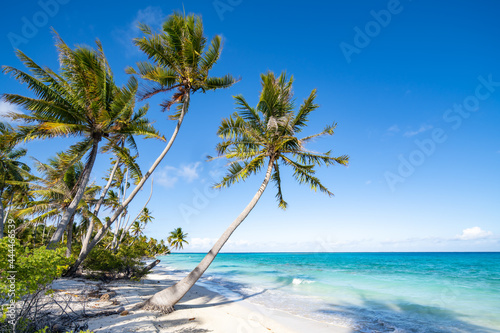 Tropical beach with palm trees and turquoise sea