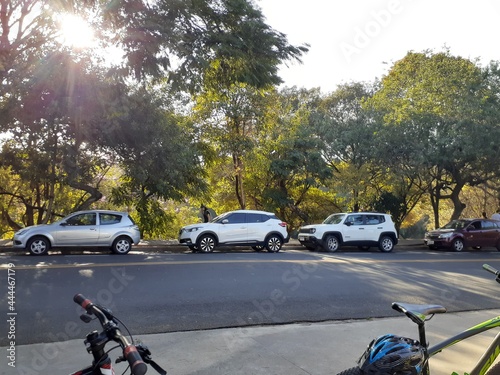 bicycles in the city