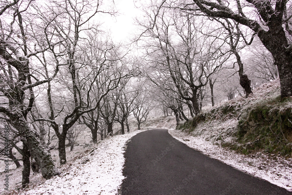 Winter landscape. Road surrounded by forest with snow. Mountain. Snowy road. Selective focus. Winter landscape. Road surrounded by forest with snow. Mountain. Snowy road. Selective focus.