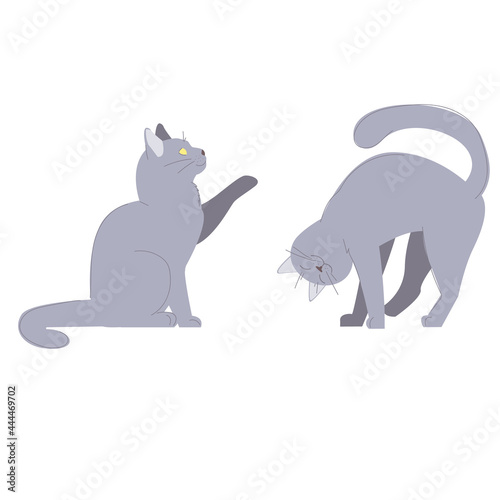 purring petting cat and sitting cat giving paw. smiling happy pet. set of domestic animals. stock vector illustration isolated on white background. 