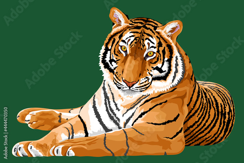 vector art realistic tiger