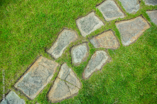 Photography Background texture, path on the lawn lined with round stones on the grass