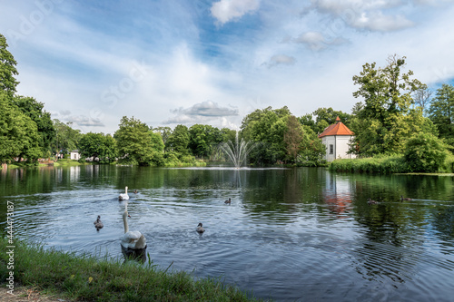 Beautiful view at pond in Zwierzyniec, Roztocze, Poland. Park and famous St.John's of Nepomuk Church on the island in the background. Group of swans in foreground.