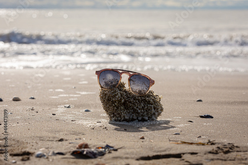 Sonnenstrand mit Wellen und Strandgut Schwamm mit Brille 