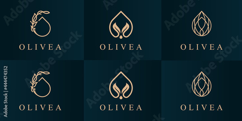 Set olive oil logo design template.
