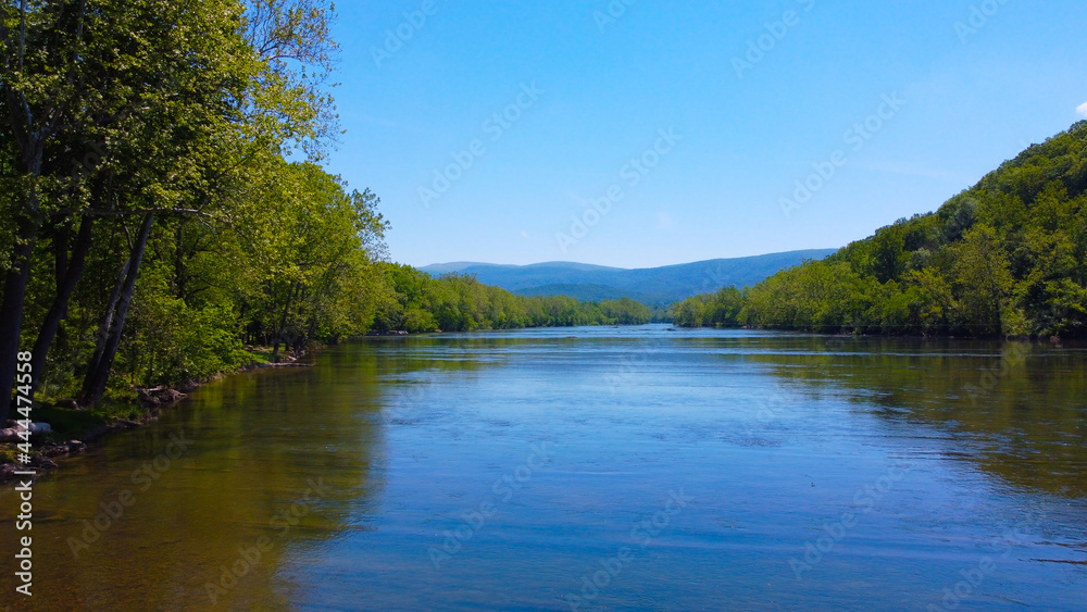 River in the forest