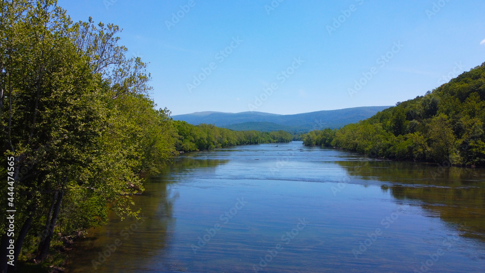 River in the woods