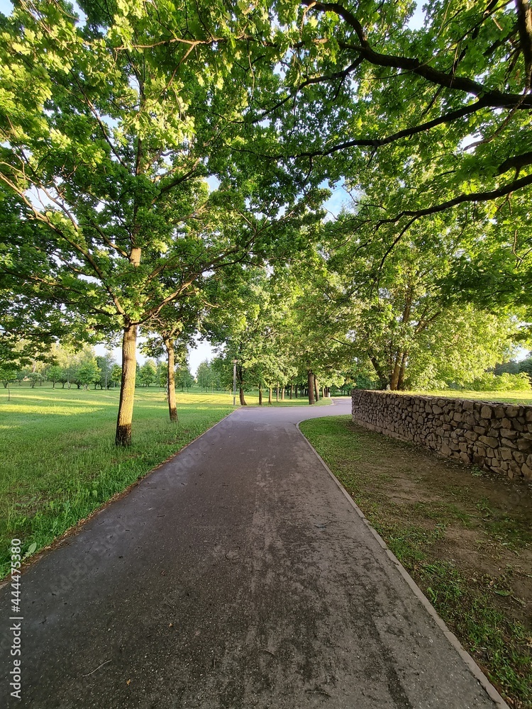 alley in the park