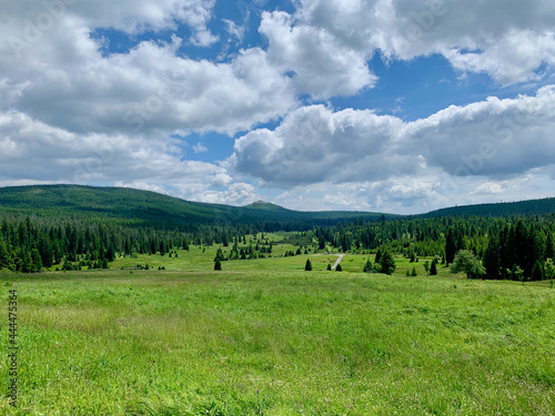 Šumava landscape in the middle of summer