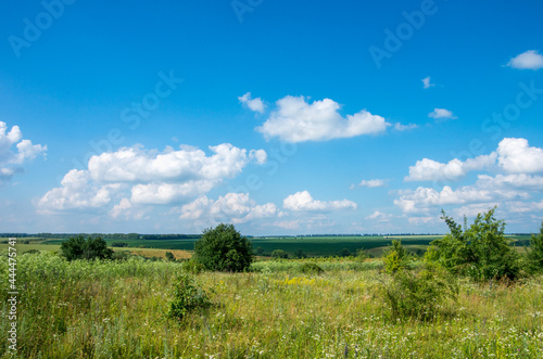 green meadow and blue sky with clouds in summer