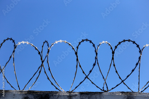 Принти на полотні concertina fence installed on a wall and a blue sky background