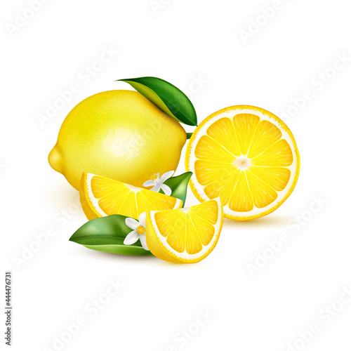 Lemon Realistic Composition