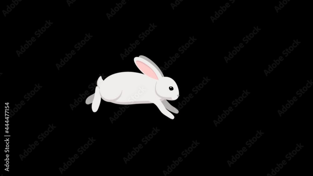 The white rabbit jumps . Animation with an alpha channel .