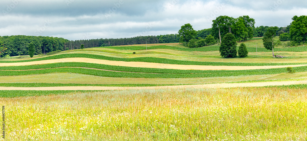 Rolling fields in Northern Michigan