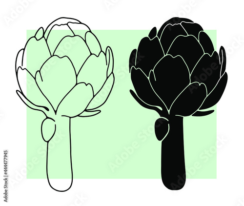 Artichoke drawn with a black line on a green background. Vector.