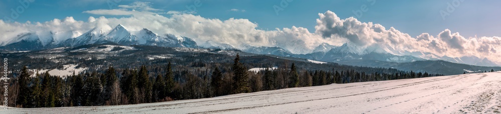 Beautiful spring landscape with a view of the Tatra Mountains