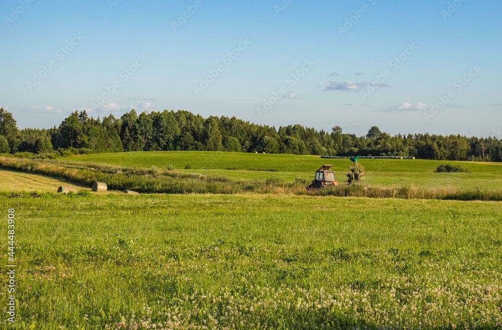 Fototapeta premium tractor with hay tedder turning hay in field