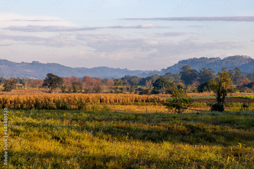 Obraz premium Farm field at sunrise