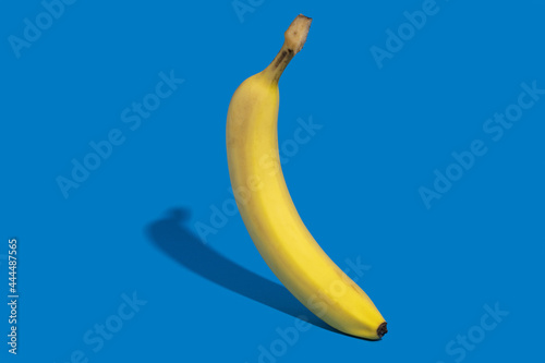 Standing banana on a dark blue background. Side shot. Curly shadow. Creative fruit concept