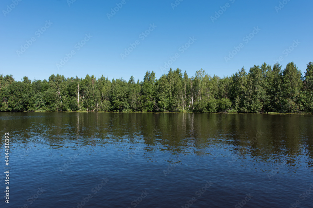 Fototapeta premium River. Forest on the opposite bank of the river.