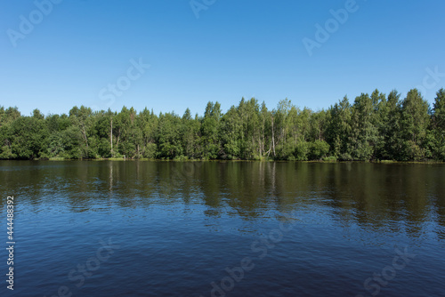 River. Forest on the opposite bank of the river.