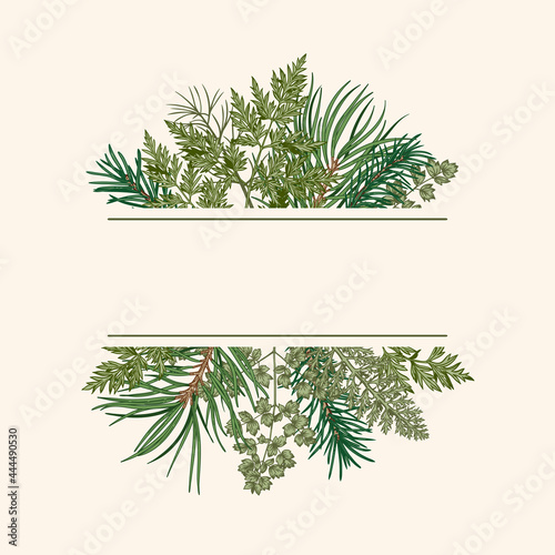 Сhristmas card with bouquet with fir and pine branches, fern and leaves. Botanical illustration. Vector holiday card. Greenery.