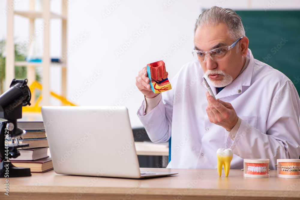 Old male doctor dentist in telestudying concept Old male doctor dentist in telestudying concept