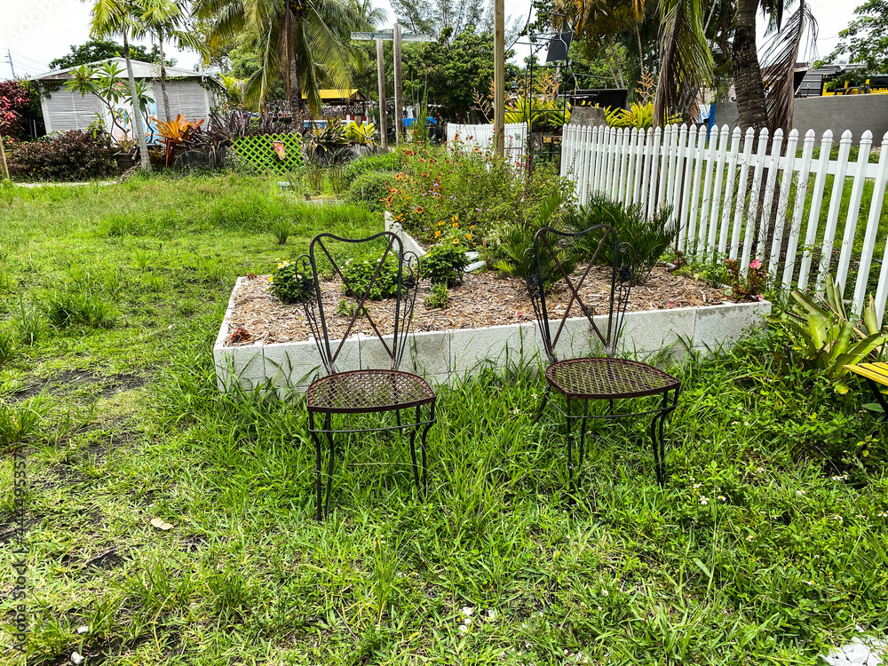 Messy backyard that needs landscape fixing. Lawn needs to be mown Stock ...