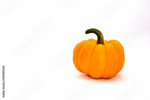 Pumpkin yellow