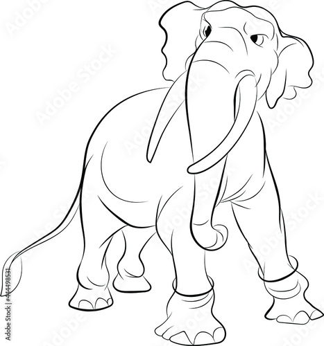 vector elephant illustration