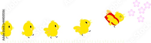 ひよこたちの成長と入学