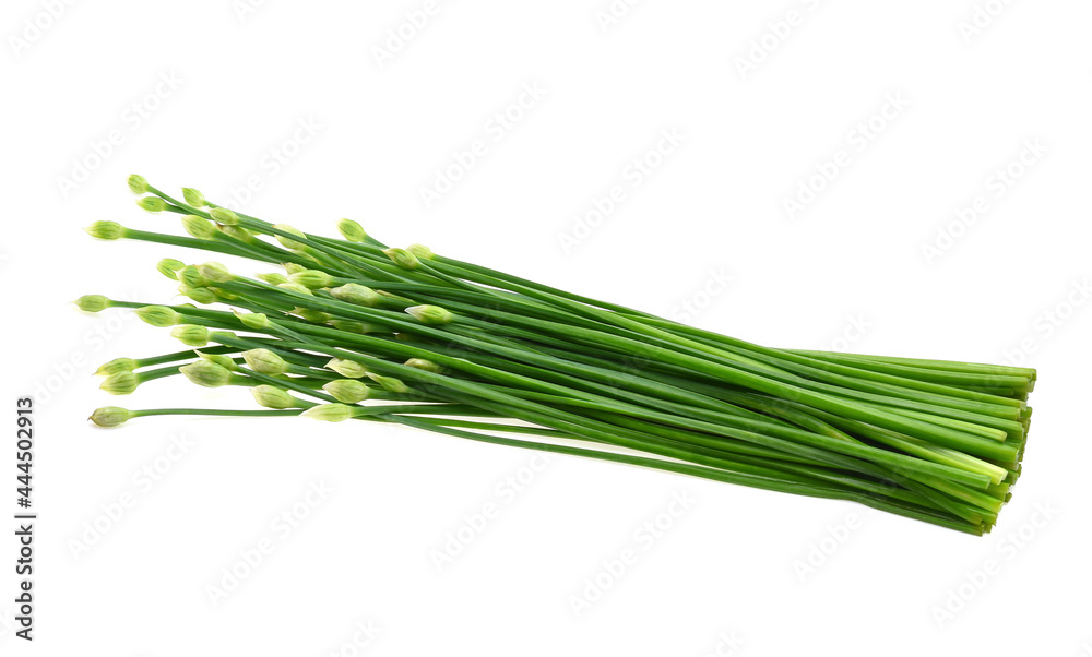 Chives flower or Chinese Chive on white background Chives flower or Chinese Chive on white background