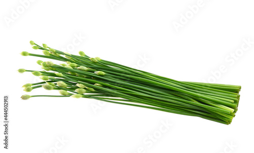 Chives flower or Chinese Chive on white background
