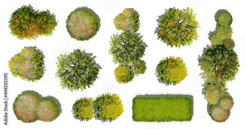Vector watercolor tree top view isolated on white background  for landscape plan and architecture layout drawing, elements for environment and garden,blossom grass,flower blooming