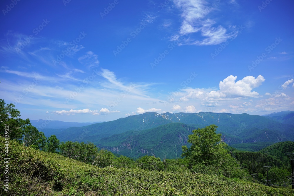 Naklejka premium 大雪山国立公園