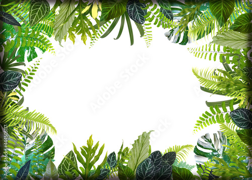 Fototapeta Naklejka Na Ścianę i Meble -  Banner with green tropical leaves. Green leaves frame template.