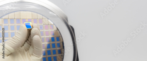 Silicon wafer with microchips, fixed in a holder with a steel frame on a gray background after the process of dicing. Microchip in hand.