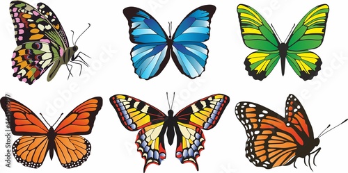 Vector set of colored butterflies. 6 pieces of different sitting and flying butterflies © Ana Lo
