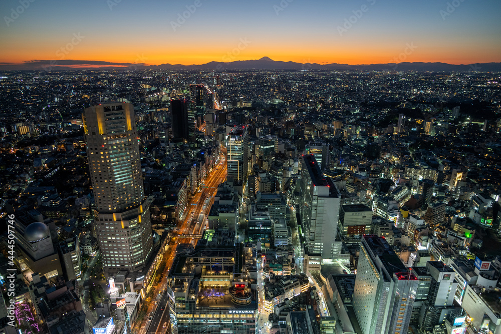 Obraz premium sunset view of Tokyo city, Shibuya Sky