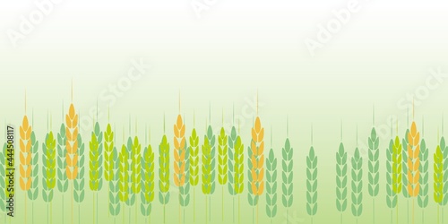 Autumn concept illustration. green wheats illustration decoration on green background. Harvest  Autumn  Fall  Thanksgiving design. Vector illustration.