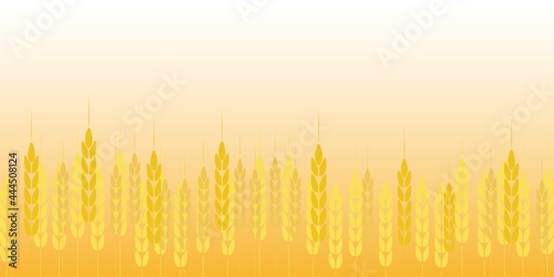 Autumn concept illustration. wheats illustration decoration on yellow golden background. Harvest, Autumn, Fall, Thanksgiving design. Vector illustration.